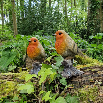 Pair Of Robin On A Tree Stump Garden Ornaments, 3 of 11