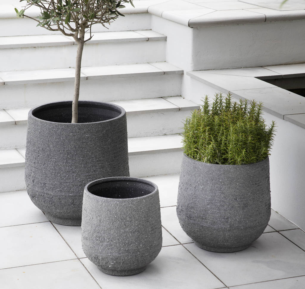 Set Of Three Concrete Planters By The Forest & Co