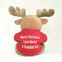 Rudy The Reindeer First Christmas Soft Toy, thumbnail 2 of 3