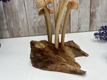 Assorted Wooden Mushroom Forest On Teak Root Wood, 8 of 12