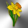 Daffodil Spring Flower Hard Enamel Pin Brooch, thumbnail 4 of 9