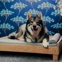 Wooden Dog Bed Solid Oak, thumbnail 7 of 12