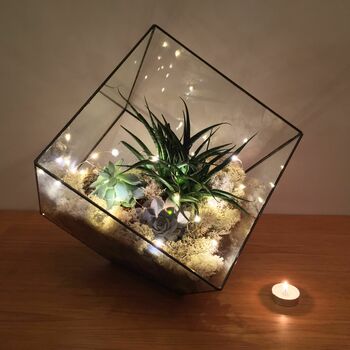 Branded Corporate Gift Large Cube Terrarium Plant, 3 of 4