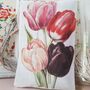 Tulip Illustration Fabric Gift, thumbnail 3 of 6