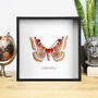 The Madagascar Emperor Moth Handcrafted Frame, thumbnail 1 of 3