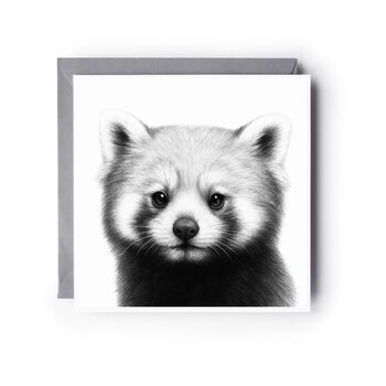 Hand Drawn Red Panda Wildlife Greeting Card, 3 of 6