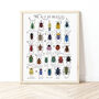 The A To Z Of Beetles Print, thumbnail 1 of 6