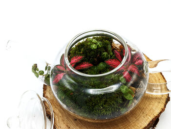 Diy Mini Teapot Terrarium, 6 of 9