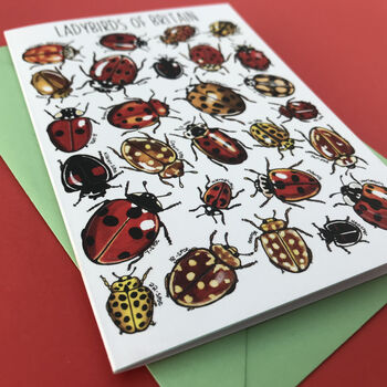 Ladybirds Of Britain Art Blank Greeting Card, 8 of 11