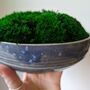 Preserved Moss In A Large Ceramic Handmade Bowl, thumbnail 8 of 8