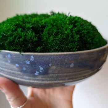 Preserved Moss In A Large Ceramic Handmade Bowl, 8 of 8