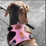 Pink Pooch Pack Harness, thumbnail 3 of 6