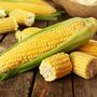 Sweetcorn 'Earlibird' 18 X Plant Pack, thumbnail 1 of 6