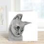 Orkaria The Cat Greeting Card, thumbnail 2 of 6