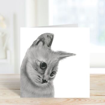Orkaria The Cat Greeting Card, 2 of 6