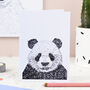 Personalised Panda Birthday Card, thumbnail 3 of 8