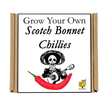 Grow Your Own Chilli Plant. Scotch Bonnet Seeds Kit, 4 of 4