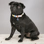 The Thurlestone Pastel Striped Dog Collar, thumbnail 4 of 4