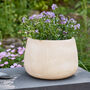 Kalo Beige Striped Planter, thumbnail 1 of 5