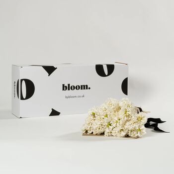 Arctic White Hyacinths Fresh Flower Bouquet, 3 of 3