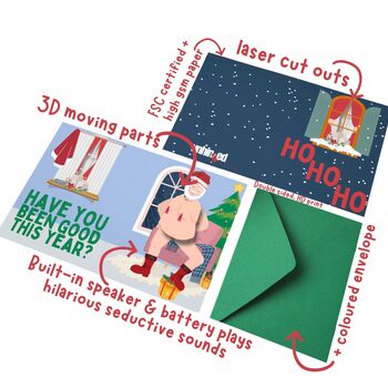Moaning And Jiggling Animated 'Sexy Santa'! Funny And Cheeky Christmas Card, 11 of 12