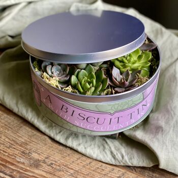 Succulents In A Biscuit Tin, 12 of 12