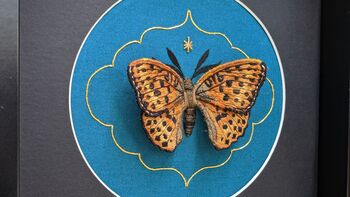 3D Butterfly Embroidery Art Mounted And Framed, 7 of 9