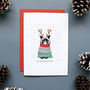 Funny Grumpy Cat Christmas Card Or Pack, thumbnail 1 of 2