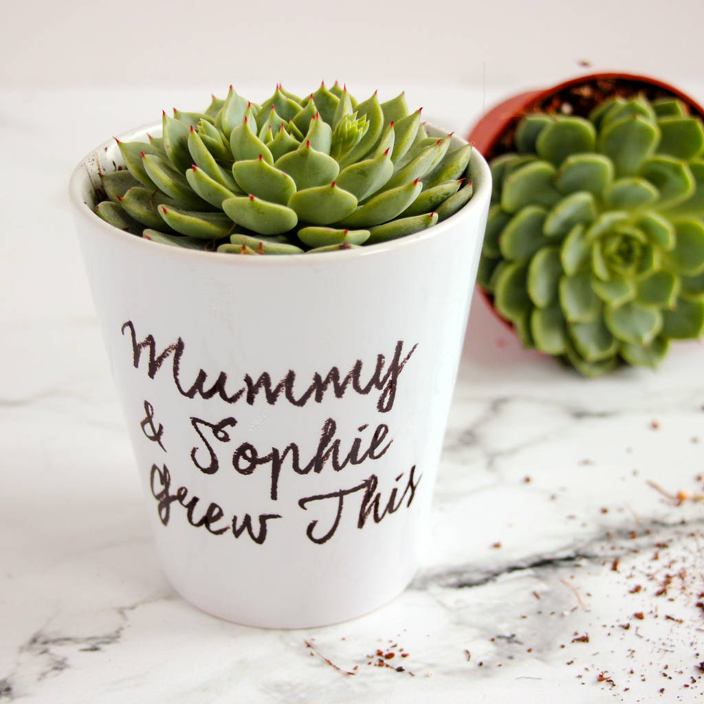 personalised plant pot by snapdragon | notonthehighstreet.com