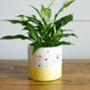 Handmade Plant Pot Yellow, thumbnail 1 of 3