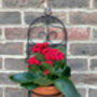 Garden Wall Planter And Flower Pot Holder Garden Decor Metal, thumbnail 4 of 9