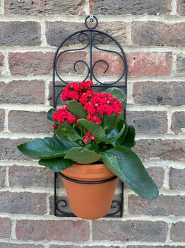 Garden Wall Planter And Flower Pot Holder Garden Decor Metal, 4 of 9