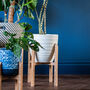 Bamboo Plant Stands, thumbnail 9 of 9