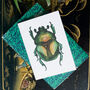 Hand Drawn Green Beetle Illustrated Blank Greeting Card, thumbnail 2 of 10