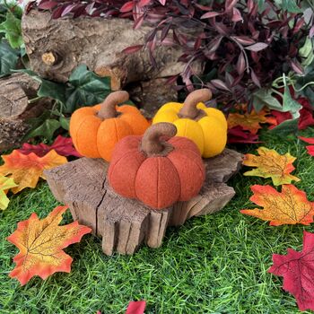 Felt Food Mini Pumpkin Terracotta, 2 of 2