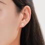 Sterling Silver Little Sunflower Flower Stud Earrings, thumbnail 6 of 12