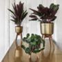 Brass Plant Pot On A Wooden Stand, thumbnail 2 of 3