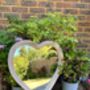 Wooden Heart Hanging Mirror Small Indoor/Outdoor Garden Décor, thumbnail 4 of 8