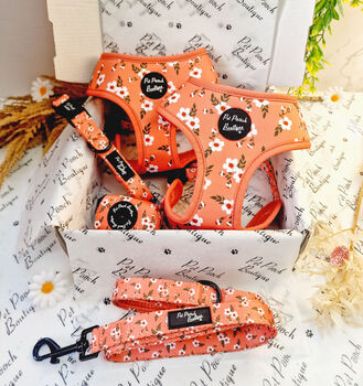 Peach And Ivy Blossom Dog Harness, 4 of 4