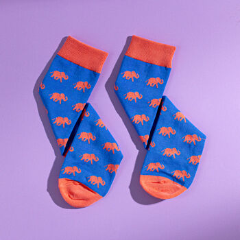 Dinosaur Lovers Egyptian Cotton Men's Sock Gift Set, 7 of 7