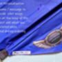 Giant Delta Kite, thumbnail 7 of 11