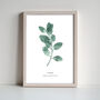 Personalised Eucalyptus Monoprint Fine Art Print, thumbnail 1 of 6