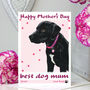 Personalised 'Rosie' Dog Mother's Day Card, thumbnail 1 of 7