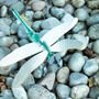 Build Your Own Personalised Dragonfly, thumbnail 10 of 12