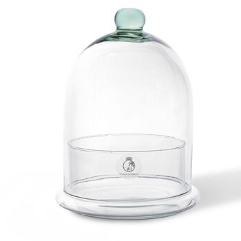 Dome Glass Terrarium H: 25 Cm, 4 of 5
