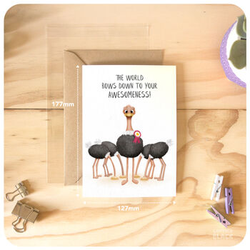 Ostrich Funny Congratulations Well Done Exam Graduation Driving Test General Awesomeness Card You're The Best, 2 of 4