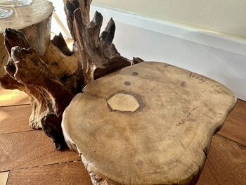 Varnished Teak Root Wooden Plant Multi Level Stand, 6 of 12