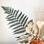 Preserved Fern Protea Posy With Grasses In A Gift Box, thumbnail 5 of 9