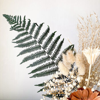 Preserved Fern Protea Posy With Grasses In A Gift Box, 5 of 9