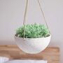 Pack Of Two Speckled White Hanging Planters, thumbnail 2 of 6